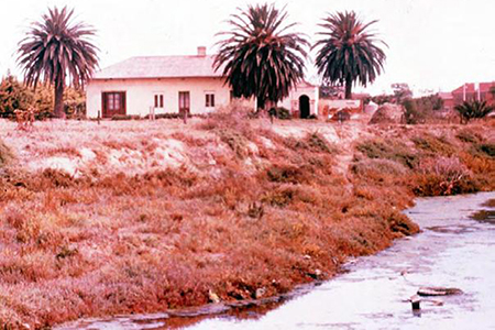 Samphire lined creek near The Grange, n .d. (Barrow Collection, Flinders University)