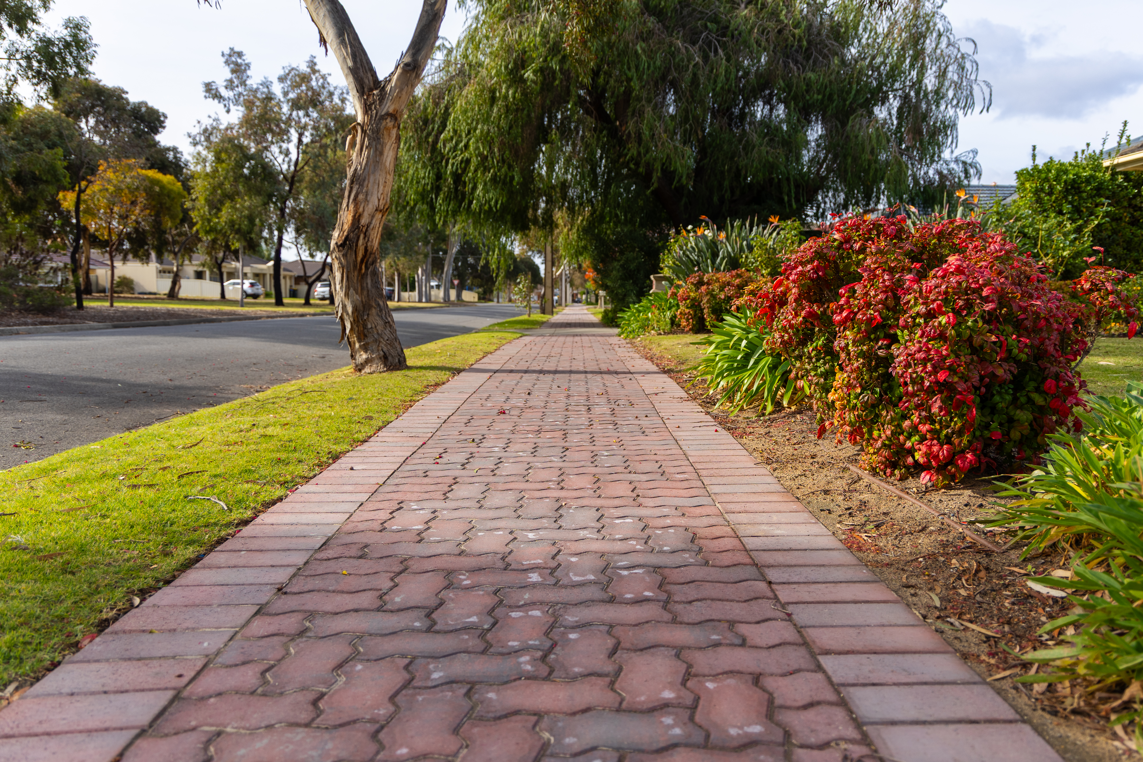 Annual Path Renewal Program