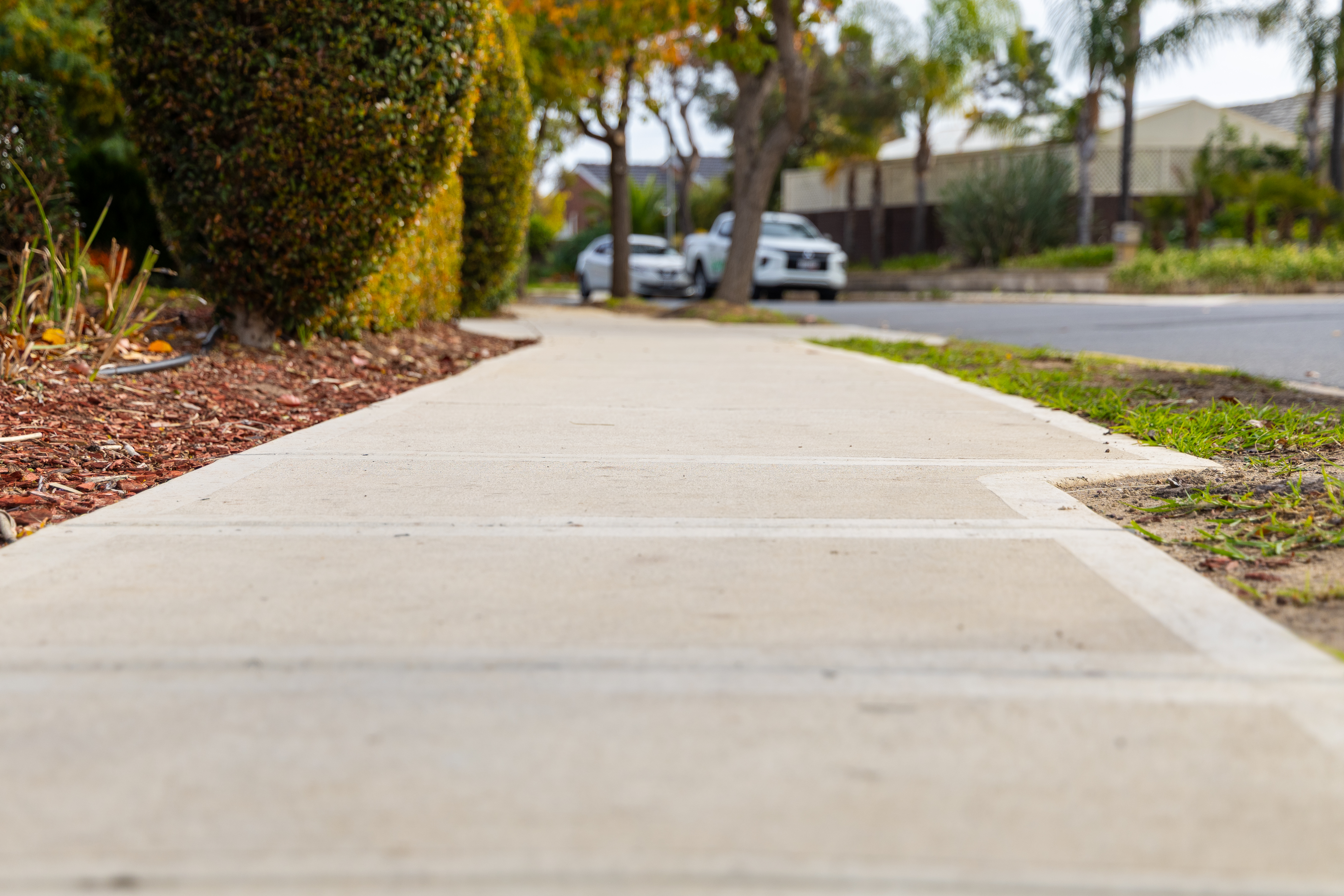 Request a New Path