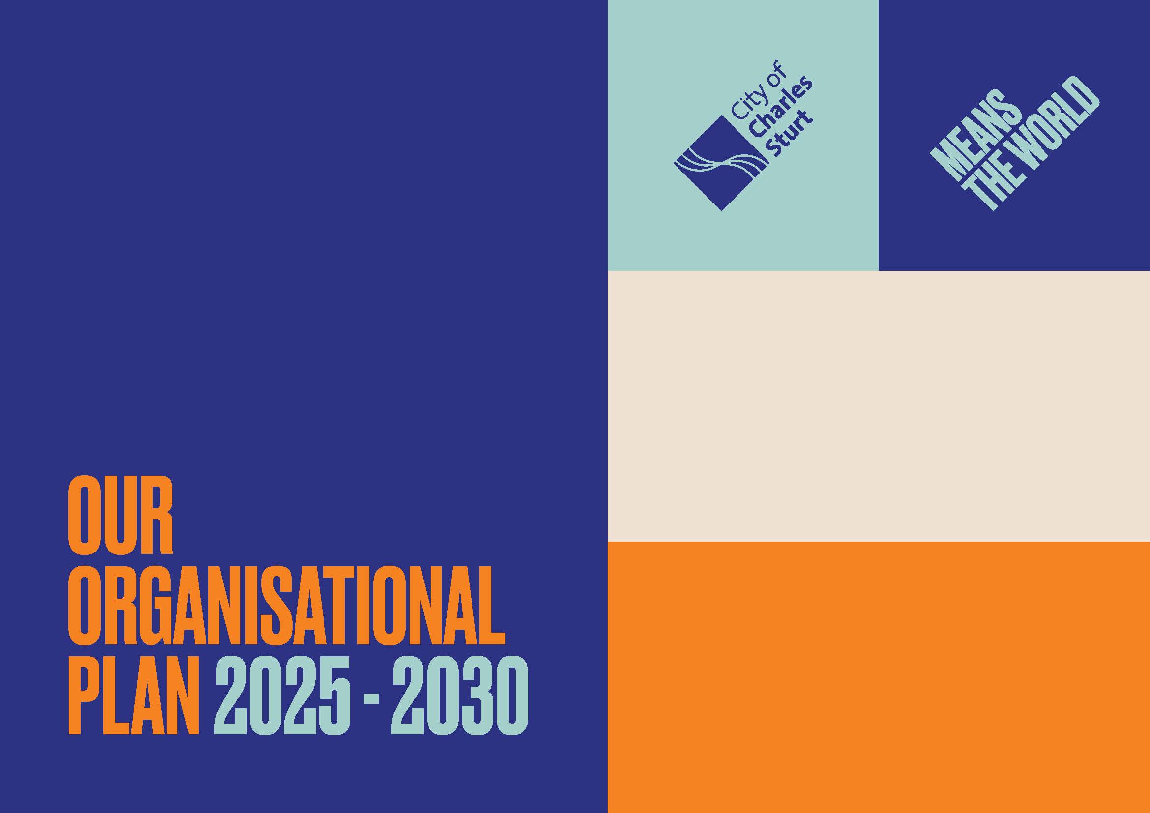Organisational Plan 2021-2025 Cover