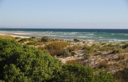 Foreshore, Henley Beach, 2000s (Malone & Telfer) Foreshore, Henley Beach, 2000s (Malone & Telfer)