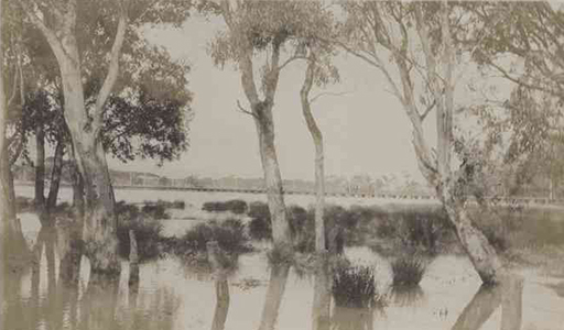 Floodwaters under the tramway viaduct, 1917 (SLSA B 52985_13