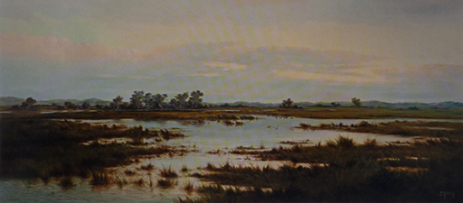 Where reeds and rushes grow, J. Ashton, 1899 (AGSA)