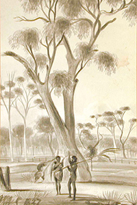 Aborigines near a gum tree,  J. M. Skipper, 1837 (1) (AGSA Collection)