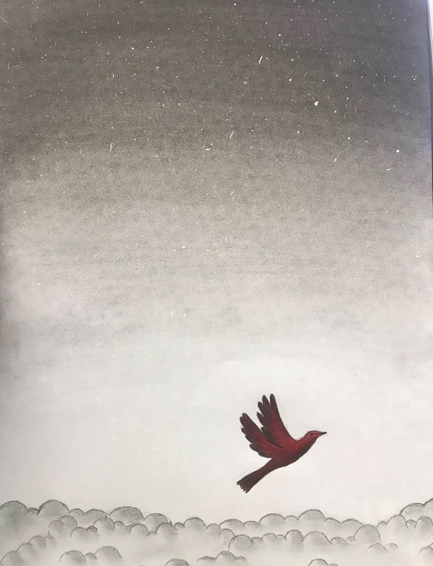 Dreams of a little red bird Dreams of a little red bird