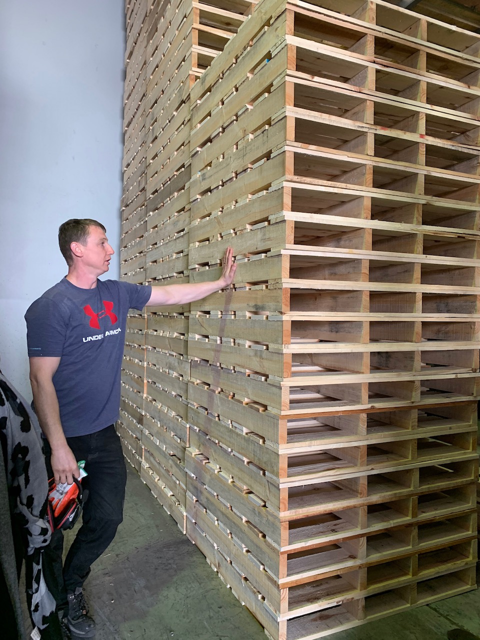 Born Again Pallets In Article
