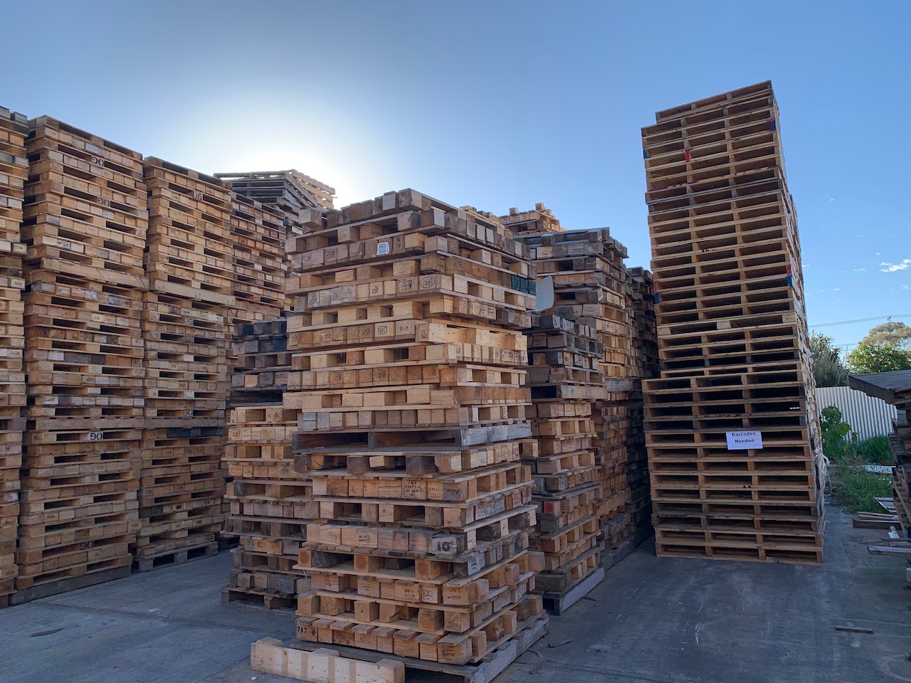 Born Again Pallets In Article 2